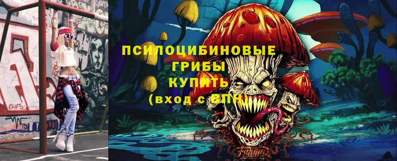 Галлюциногенные грибы MAGIC MUSHROOMS  Пудож 